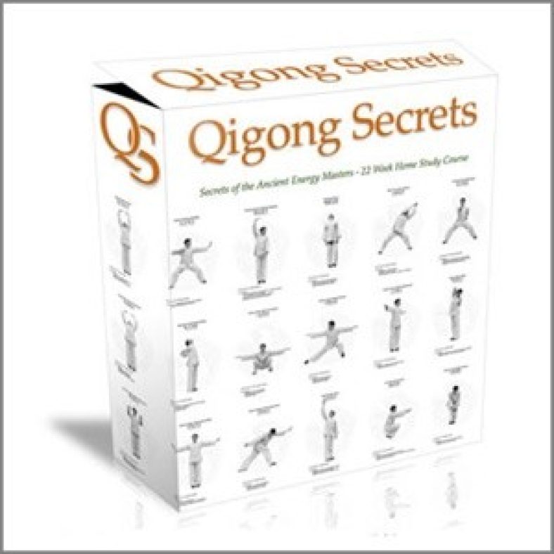 Shaolin Qigong Secrets