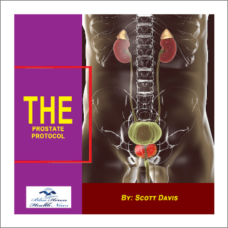 The Prostate Protocol